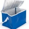 Merkloos PVC Mini Koeltasje | Koeltas Lunch | Compacte Koeltas Blauw | Koeltasje Voor 6 Blikjes -Buiten Kamperen 1024x1200 2