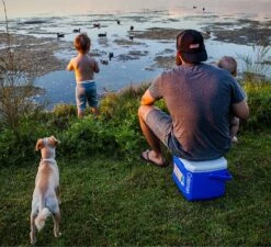 Coleman 16QT Performance Tricolor Koelbox - 15L - Blauw/Grijs -Buiten Kamperen 1200x1094 13