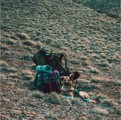 LOWLAND OUTDOOR® Donzen Slaapzak - Super Compact Blanket - 210 X 80 Cm - 590gr +8°C -Buiten Kamperen 1200x1196 8