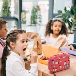 Brisby 4 Laags Geïsoleerde Koeltas - Lunchtas 1.5 Liter - Roze Pinguïn -Buiten Kamperen 1200x1200 1267