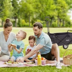 LifeGoods Bolderkar - Opvouwbaar - Draaibare Wielen - 2 Standen - 70KG Draagkracht - Zwart -Buiten Kamperen 1200x1200 726