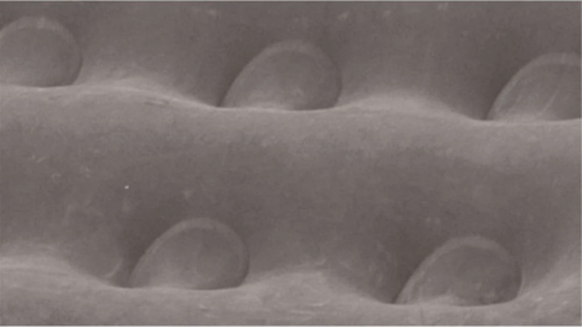 Outwell Flock Excellent Single Luchtbed - 1-Persoons - Grey/black 4 Outwell Flock Excellent Single Luchtbed - 1-Persoons - Grey/black - Afbeelding 2