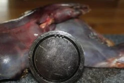 【JACHTMAGNEET / HAGELMAGNEET 】– Jacht Accessoires 2020 – Hagel Verwijderaar – Jagers Cadeau - Wild Magneet -Buiten Kamperen 1200x800 259