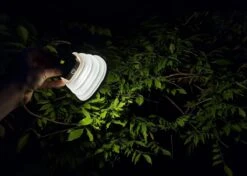 Solar Led Camping Lamp - Tent Verlichting Oplaadbaar - Solar Lantaarn Tafellamp Opvouwbare Campinglamp - King Mungo -Buiten Kamperen 1200x856 4