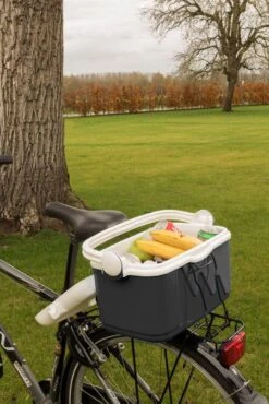 Curver Koelbox - 10L - Grijs -Buiten Kamperen 801x1200 3