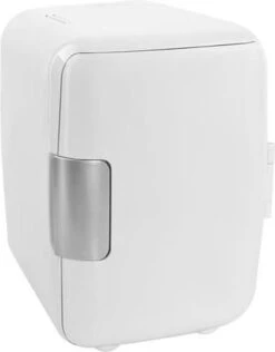 Mobiele Mini Koelkast - Frigobox 220/12 Volt AC/DC Auto/Caravan/Camping - Minibar - Mini Koelkast 4 Liter