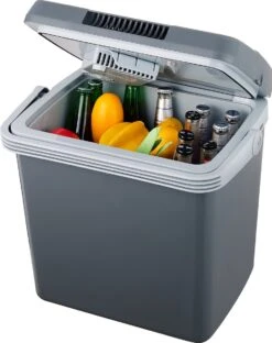 MOA Thermo-elektrische Koelbox - Met Verwarmingsfunctie - 12V En 230V - 32Liter - ECW32